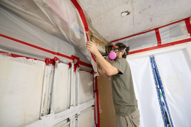 Best Asbestos and Lead Testing During Mold Inspection  in Berlin, NH