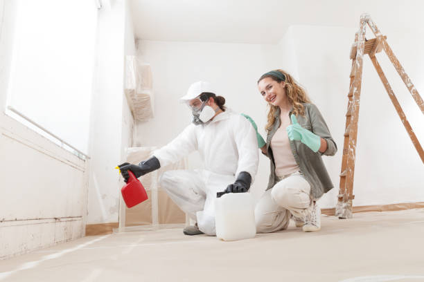 Best Mold Damage Restoration  in Berlin, NH